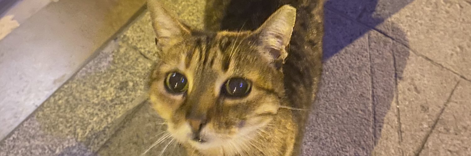 hllzey's profile banner image
