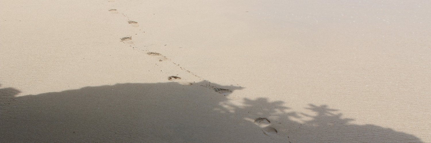 amsarisari's profile banner image