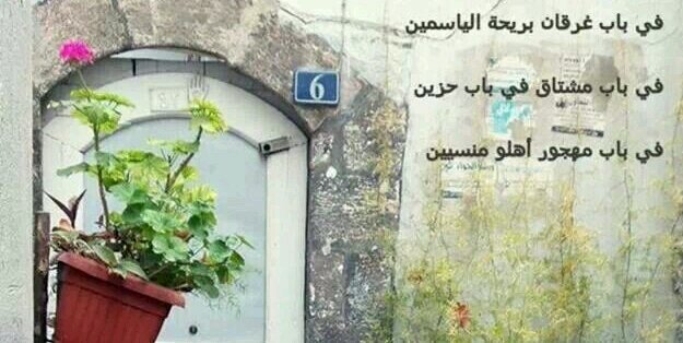 TZainah's profile banner image