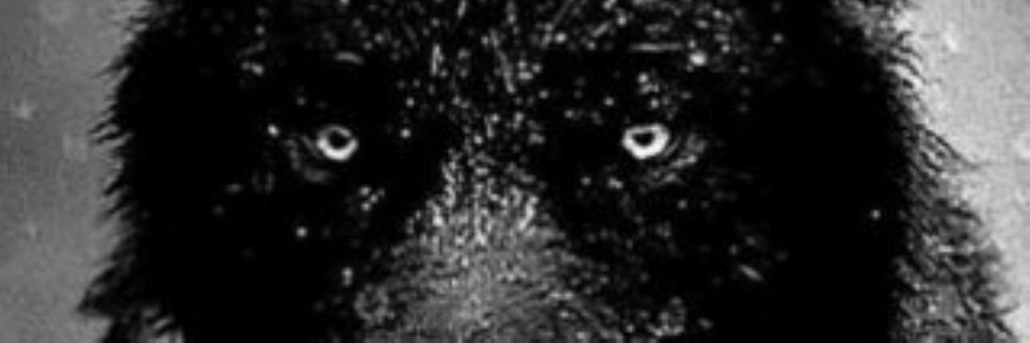 legendquincy's profile banner image
