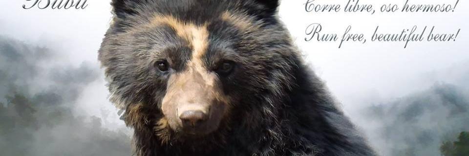 Andean Bear Found. banner