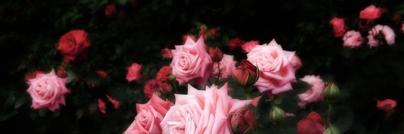 mur_mua's profile banner image