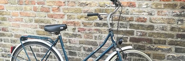 Lilygo Profile Banner