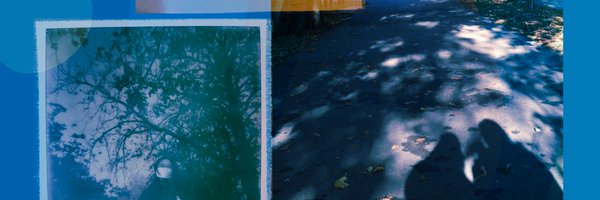 di___de Profile Banner