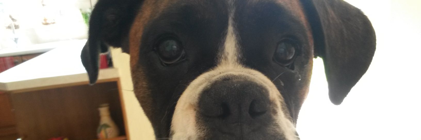 Mark Quartermain banner