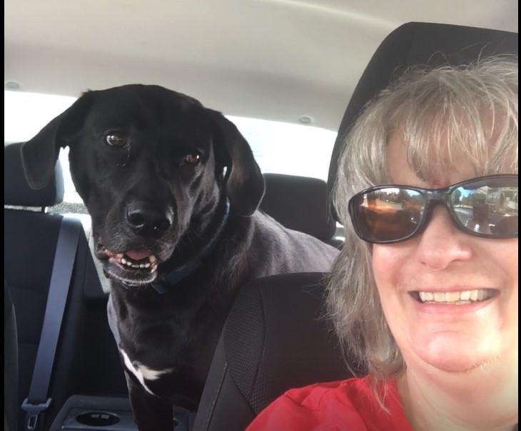 Elizabeth Culver Edwards aka Table4Five banner