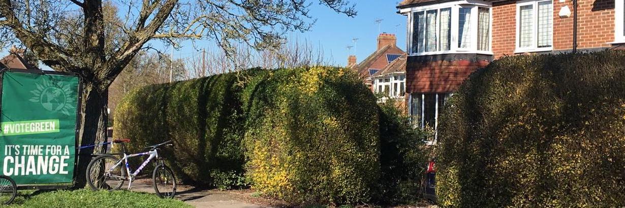 GreenNewbury's profile banner image
