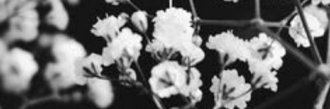 DeckledEdges's profile banner image
