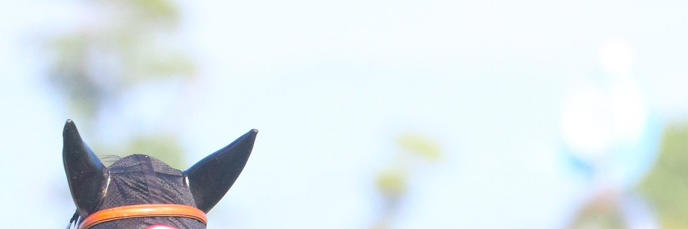 cd1994mai's profile banner image