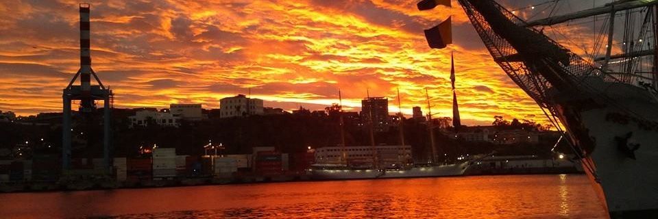_donosaurio's profile banner image