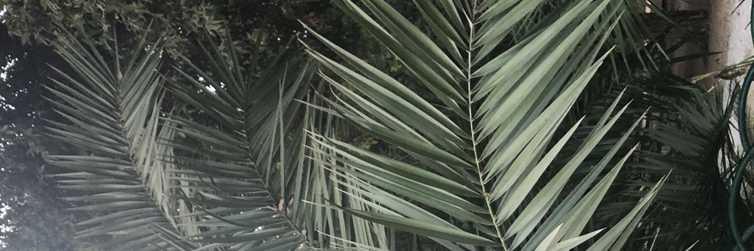 DanneelsKato's profile banner image