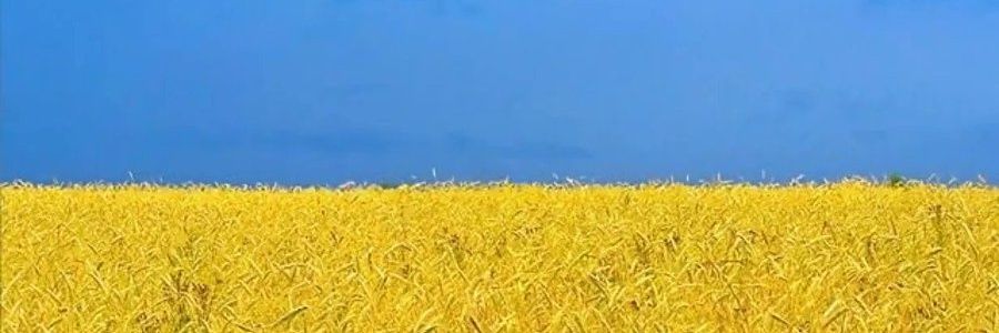 コラネコ banner