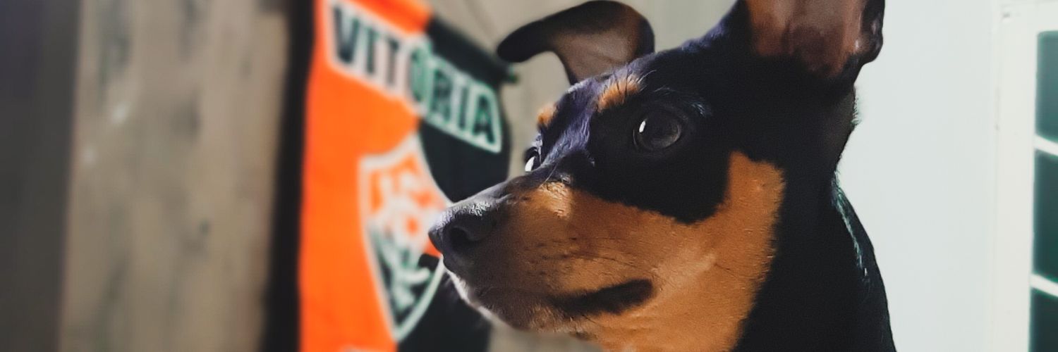 FiGarrido's profile banner image
