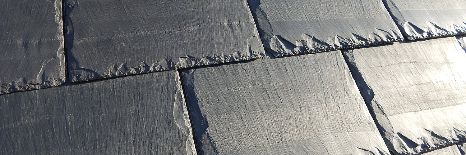 CarapaceSlate's profile banner image