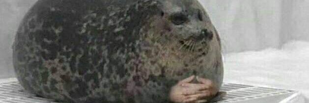 Bobbyfreddie's profile banner image