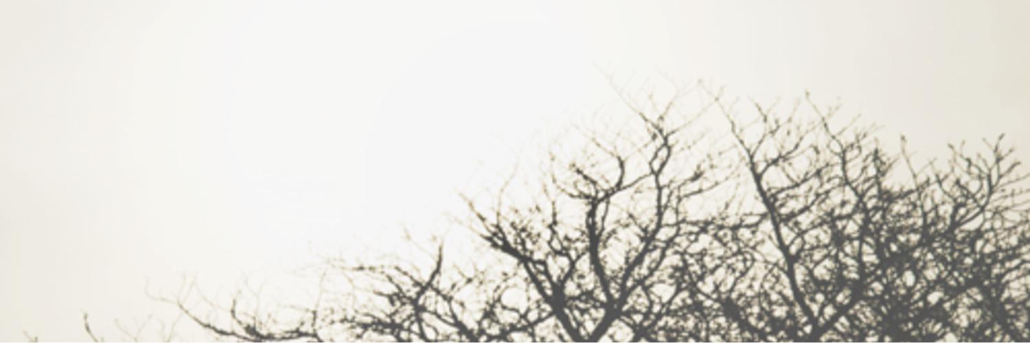 BarbaraRPGCDV's profile banner image