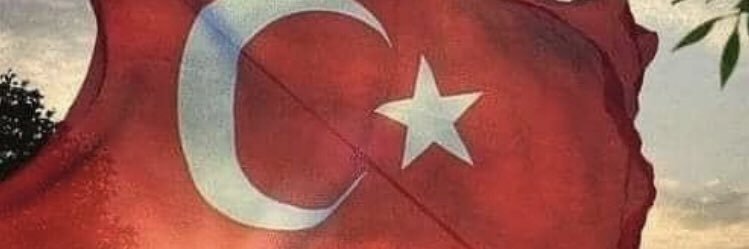 aliarsnl's profile banner image