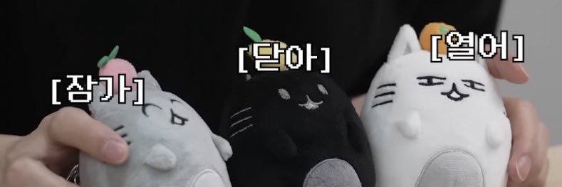 meow_96z's profile banner image