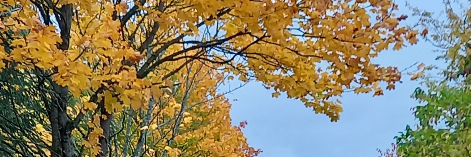 Actualharu's profile banner image