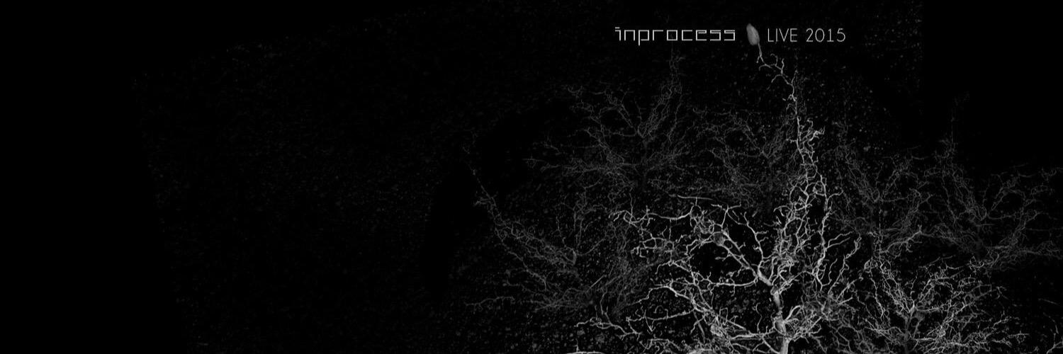 InprocessL's profile banner image