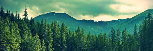 IanTroop_ Profile Banner