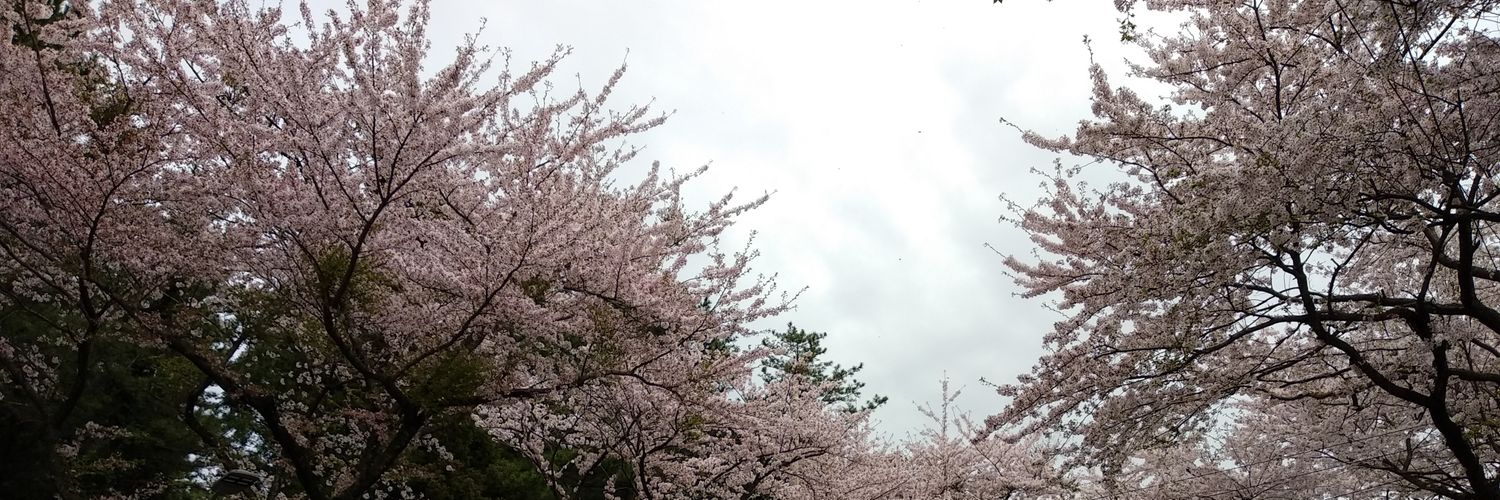 lostmaybegone's profile banner image