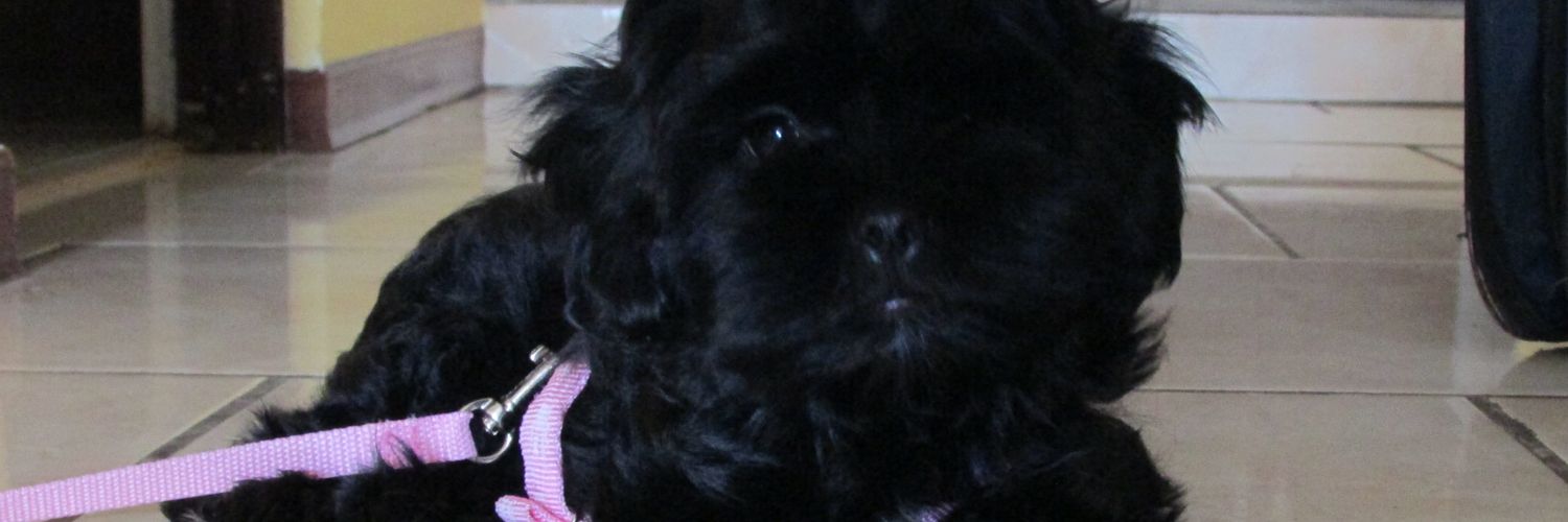 LienaMv's profile banner image