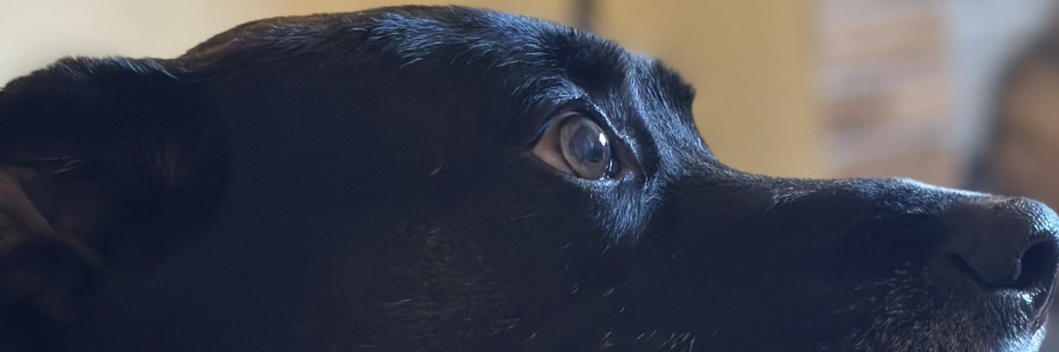 darweezy's profile banner image