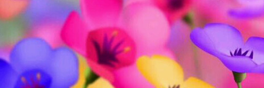 TopLegendas's profile banner image