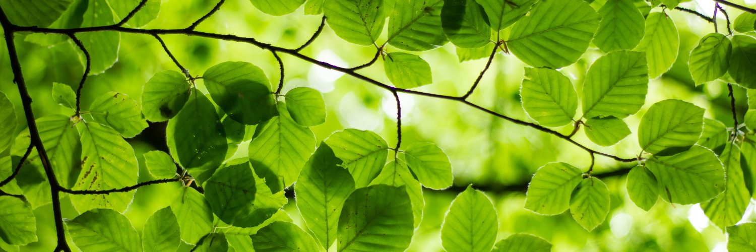 Vlatka Butkovic 🎶 banner