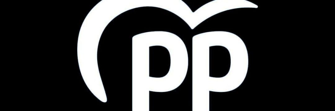 PPdeVilagarcia's profile banner image