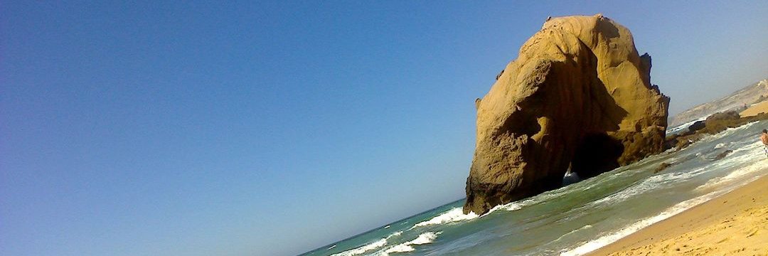 ricdavid7's profile banner image