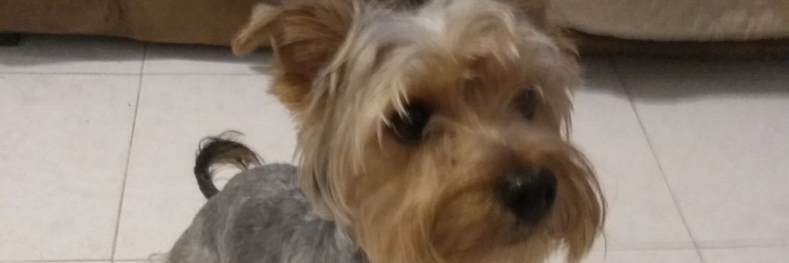 3duardoRamirezC's profile banner image