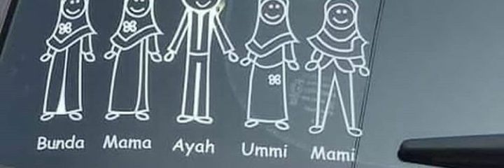 Mlnichsan01's profile banner image