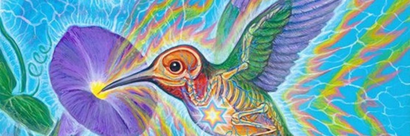 yustind99's profile banner image