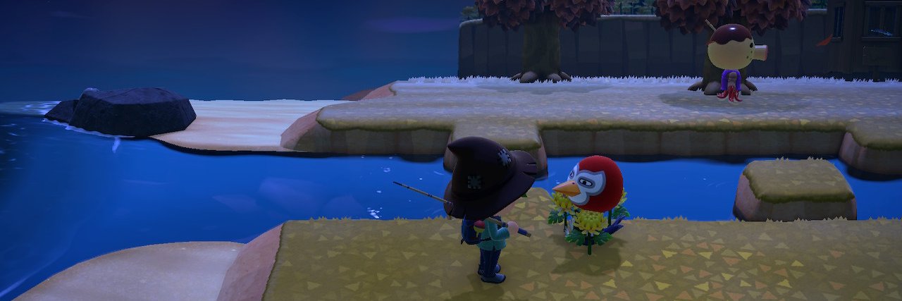 bocchicchy's profile banner image