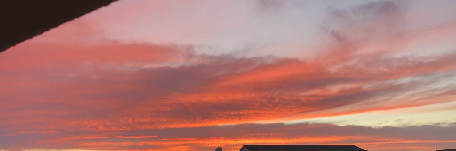 ashleighgrieve1's profile banner image