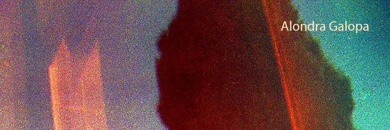 alondragalopa's profile banner image