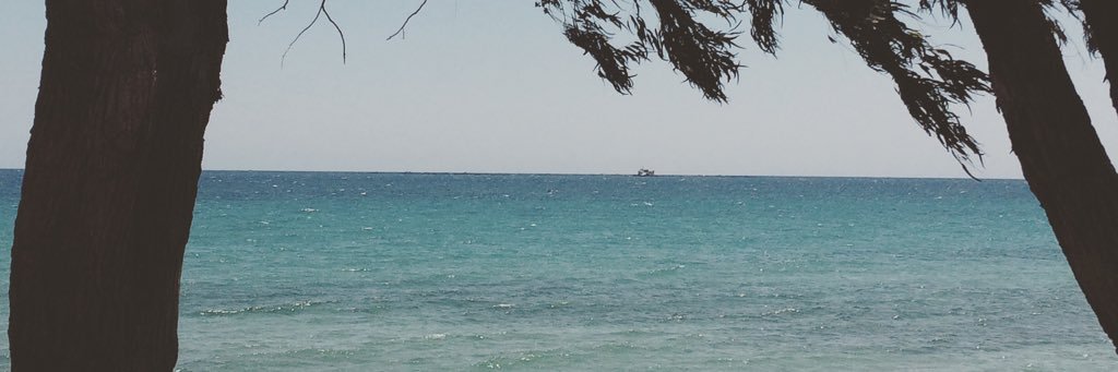 Jose Andres Ayelo banner