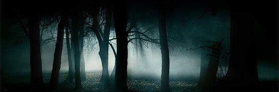westyorkspara's profile banner image