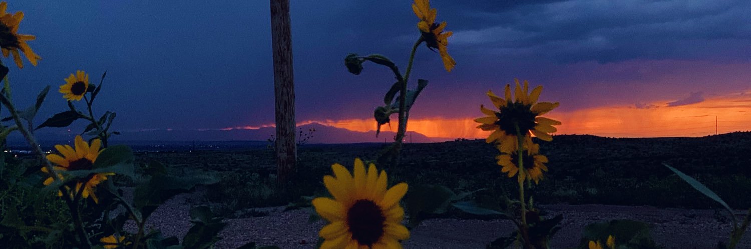 Cate_Castelli_'s profile banner image