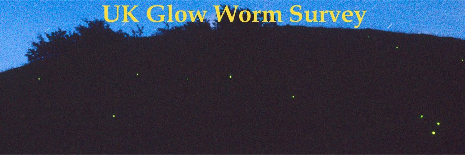 ukglowworms's profile banner image