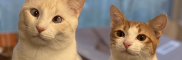 MeatSats Profile Banner