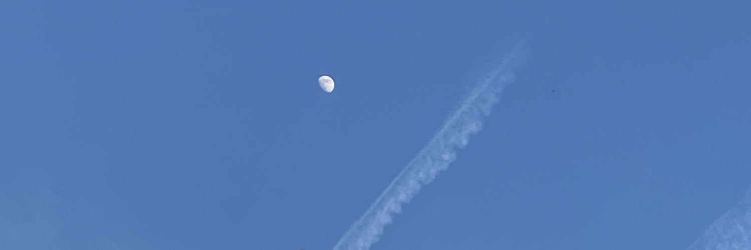 domzin banner