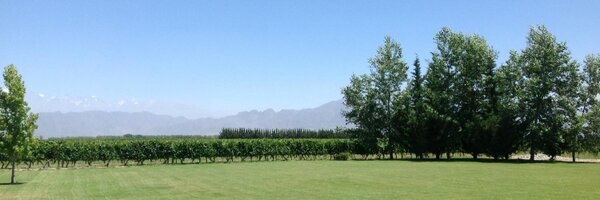 flaviaza Profile Banner