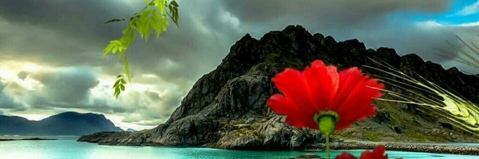 𝓐𝓲𝓰𝓮𝓷ـــــــ banner