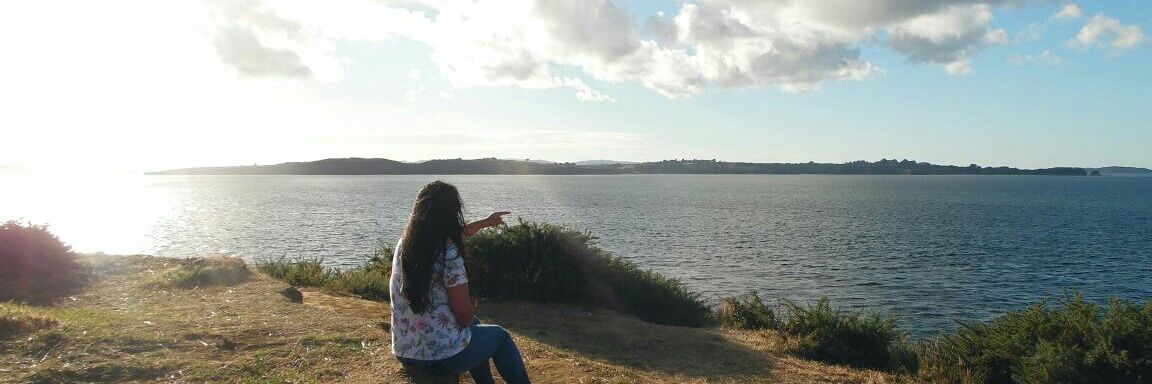 sandra_barria's profile banner image