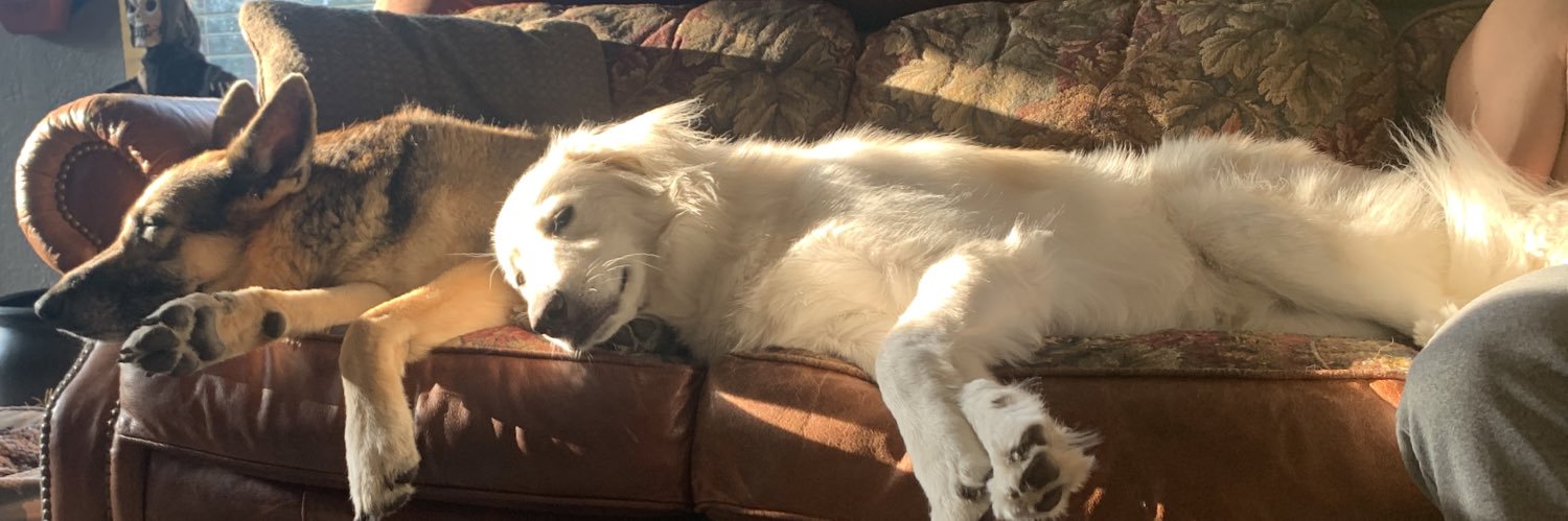 maddierae57's profile banner image
