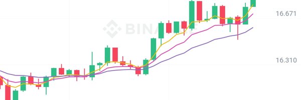 thuandx Profile Banner