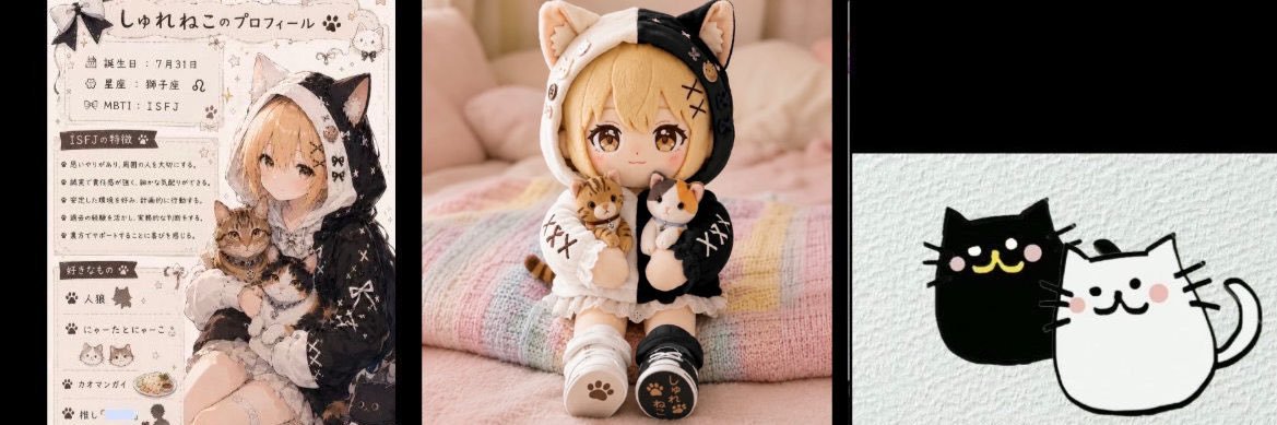 Schro_cat02's profile banner image
